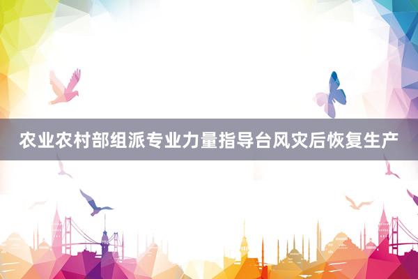 农业农村部组派专业力量指导台风灾后恢复生产