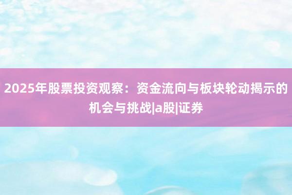 2025年股票投资观察：资金流向与板块轮动揭示的机会与挑战|a股|证券