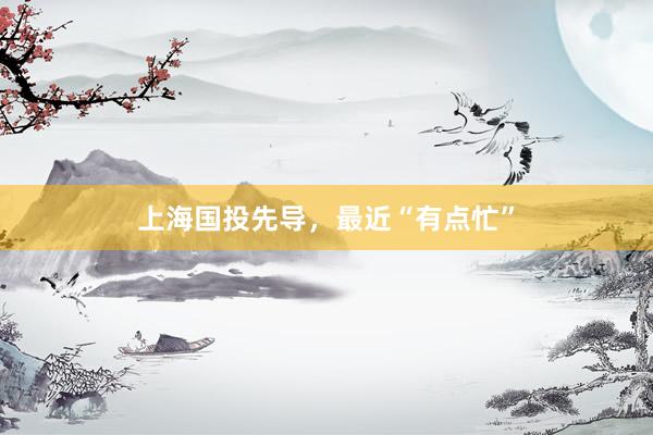 上海国投先导，最近“有点忙”