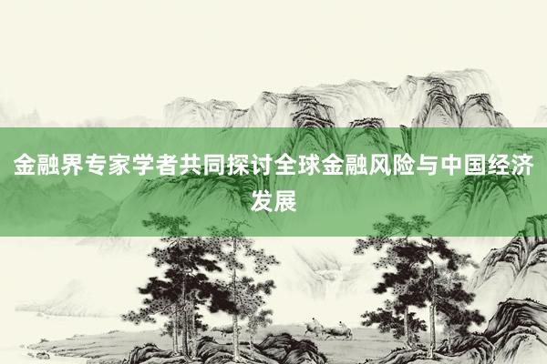 金融界专家学者共同探讨全球金融风险与中国经济发展