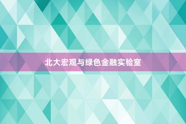 北大宏观与绿色金融实验室