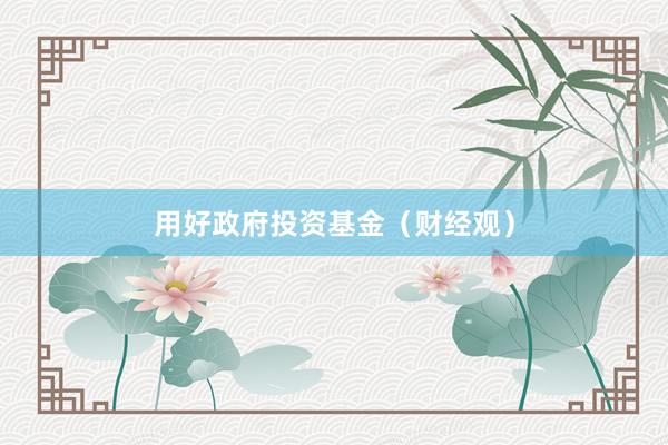 用好政府投资基金（财经观）