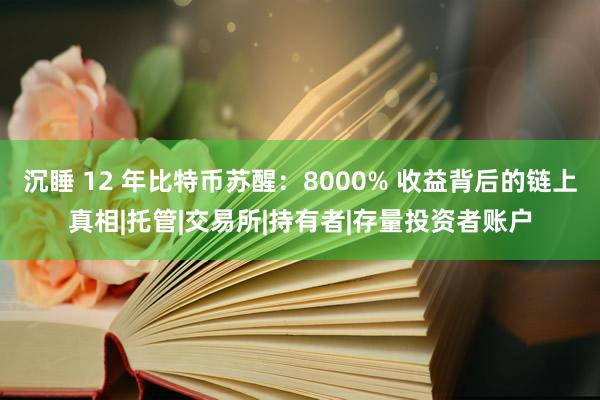 沉睡 12 年比特币苏醒：8000% 收益背后的链上真相|托管|交易所|持有者|存量投资者账户