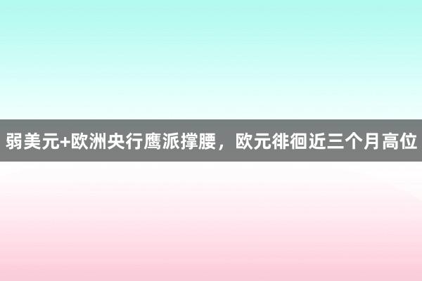 弱美元+欧洲央行鹰派撑腰，欧元徘徊近三个月高位