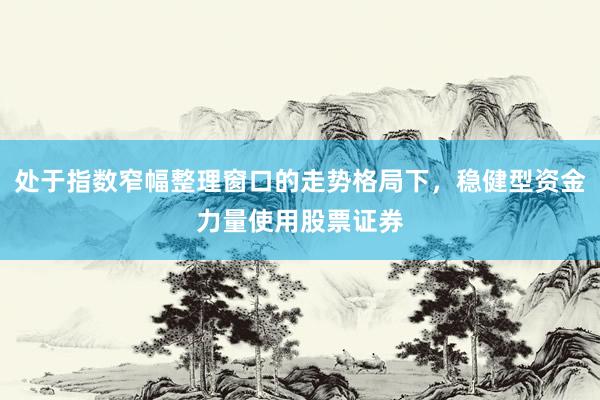 处于指数窄幅整理窗口的走势格局下，稳健型资金力量使用股票证券