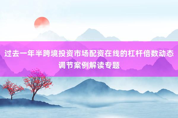 过去一年半跨境投资市场配资在线的杠杆倍数动态调节案例解读专题