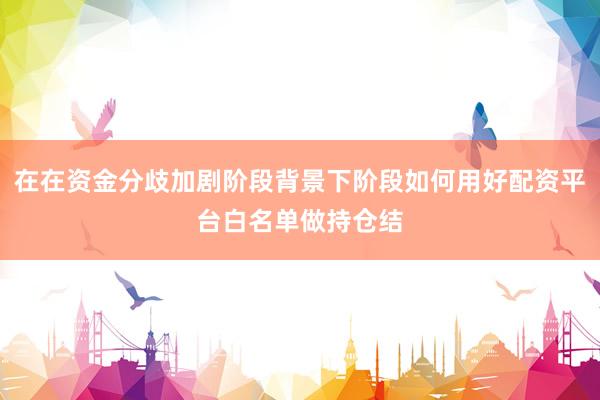 在在资金分歧加剧阶段背景下阶段如何用好配资平台白名单做持仓结