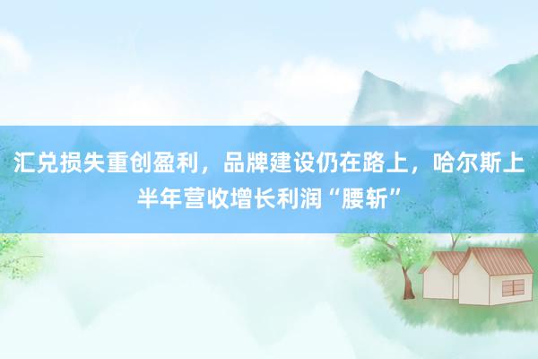 汇兑损失重创盈利，品牌建设仍在路上，哈尔斯上半年营收增长利润“腰斩”