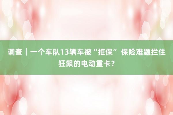 调查｜一个车队13辆车被“拒保” 保险难题拦住狂飙的电动重卡？