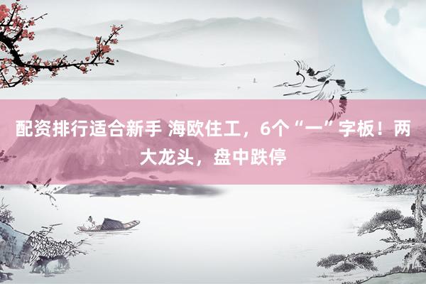 配资排行适合新手 海欧住工，6个“一”字板！两大龙头，盘中跌停