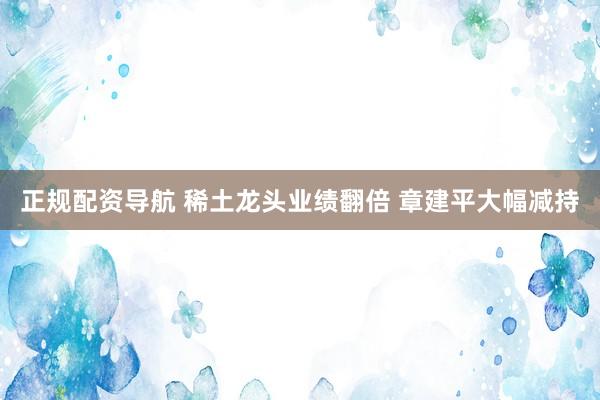 正规配资导航 稀土龙头业绩翻倍 章建平大幅减持