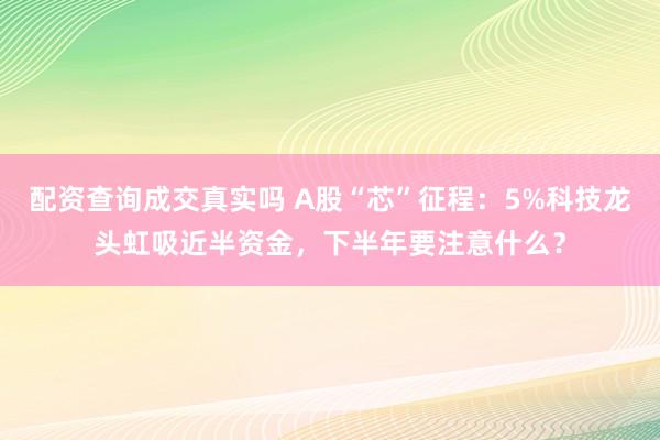 配资查询成交真实吗 A股“芯”征程：5%科技龙头虹吸近半资金，下半年要注意什么？