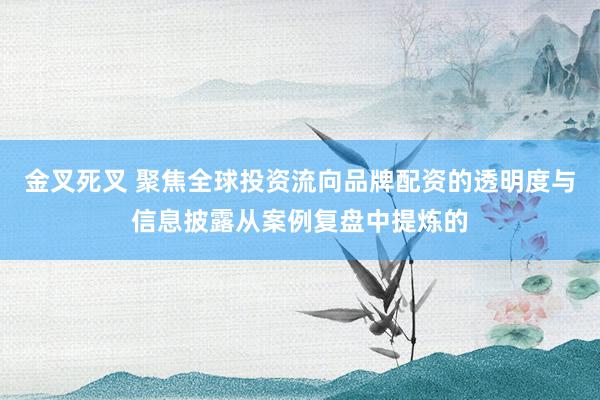 金叉死叉 聚焦全球投资流向品牌配资的透明度与信息披露从案例复盘中提炼的