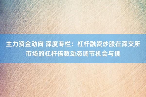 主力资金动向 深度专栏：杠杆融资炒股在深交所市场的杠杆倍数动态调节机会与挑