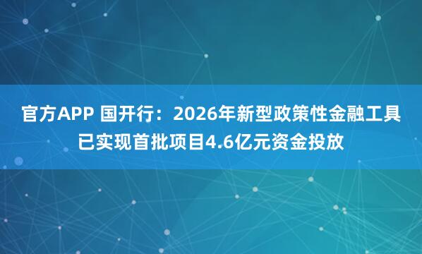 官方APP 国开行：2026年新型政策性金融工具已实现首批项目4.6亿元资金投放