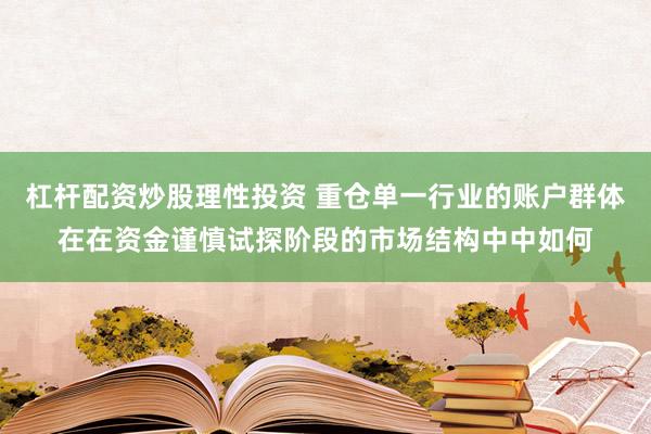 杠杆配资炒股理性投资 重仓单一行业的账户群体在在资金谨慎试探阶段的市场结构中中如何